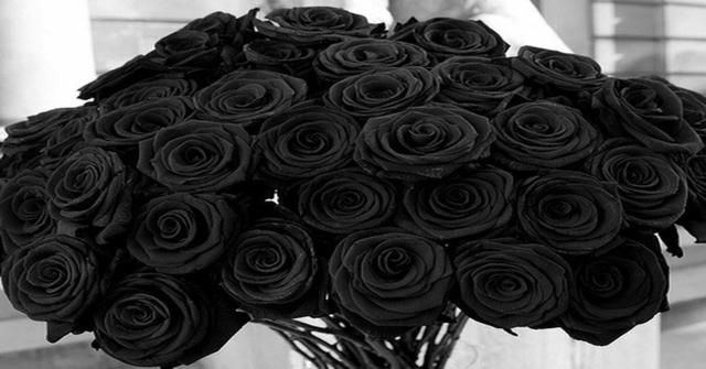 las rosas negras