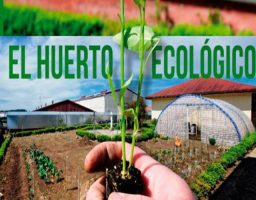 huerto ecológico