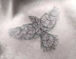 de los tatuajes de aves