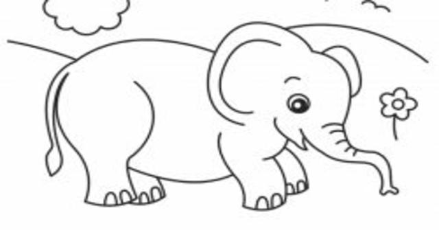 Cómo hacer un buen dibujo de elefante