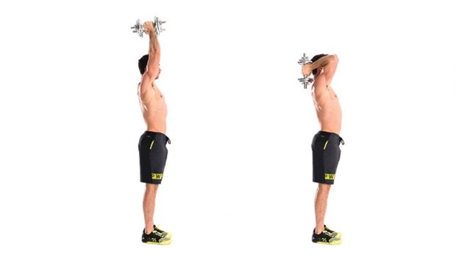Cómo aumentar los músculos de los brazos