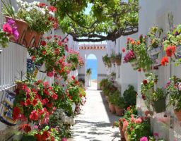 Cómo decorar un patio andaluz
