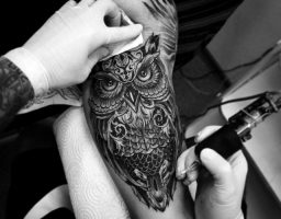 Cuál es el significado de los tatuajes de búhos