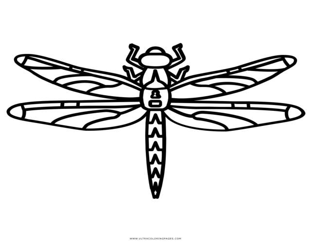 Cómo dibujar una libélula