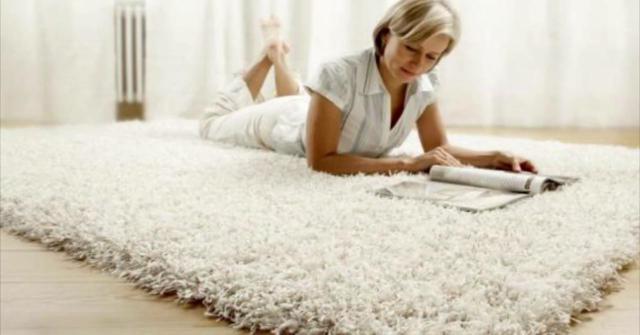 limpiar una alfombra de pelo